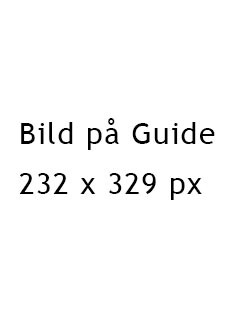 Guide - testa din IT-säkerhet