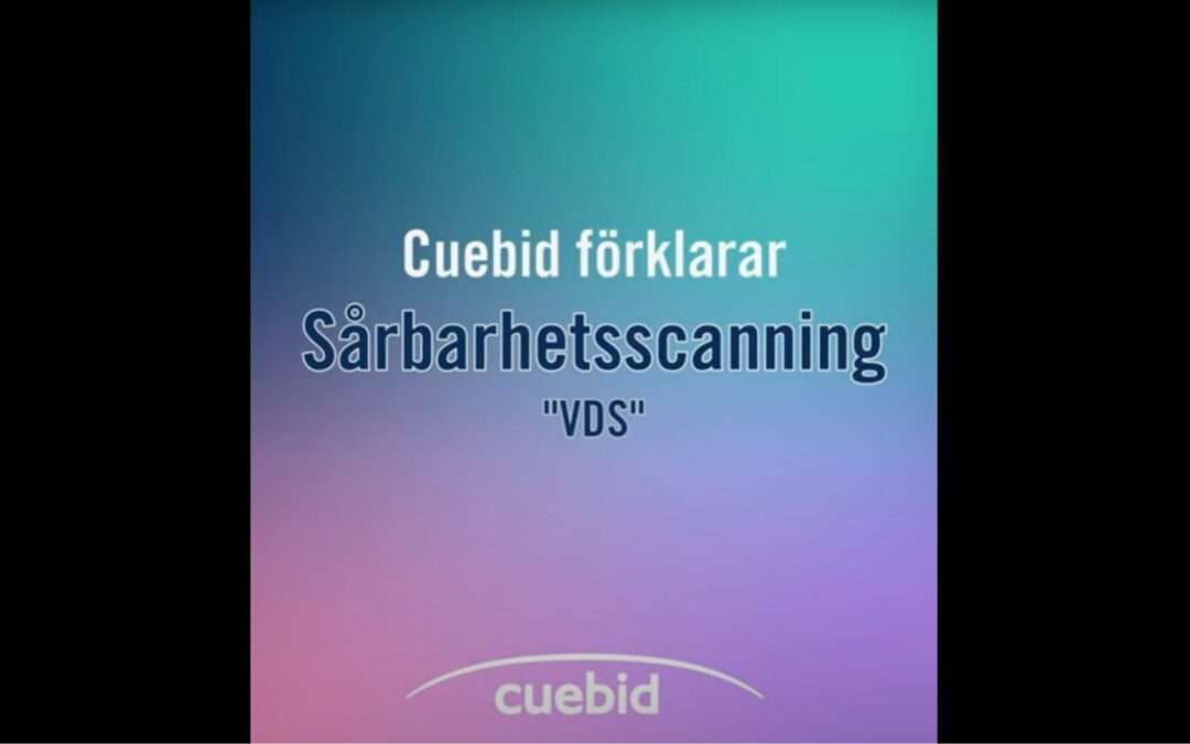 Cuebid förklarar Sårbarhetsscanning (VDS)