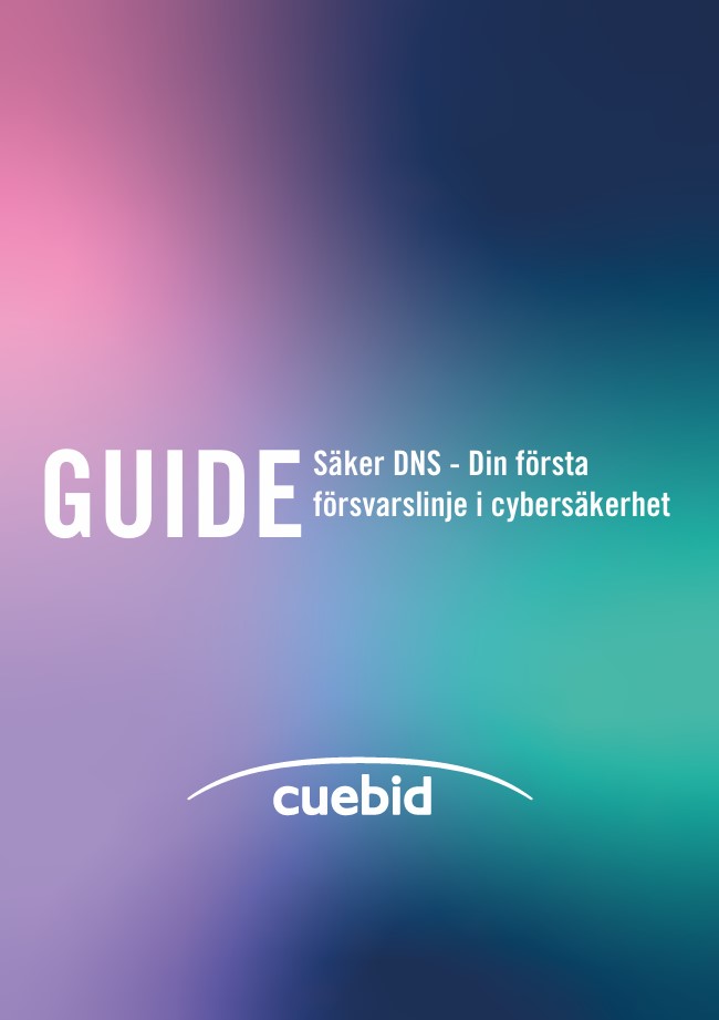 Guide - testa din IT-säkerhet