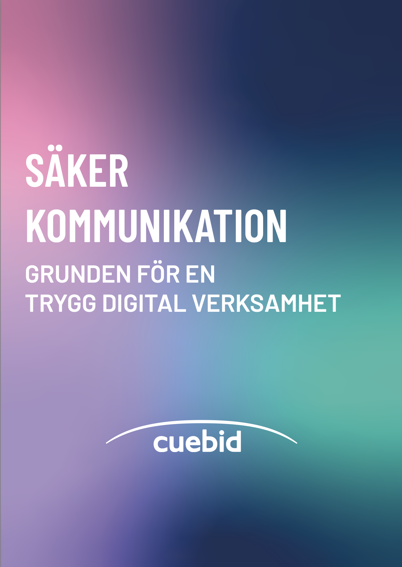 Guide - testa din IT-säkerhet