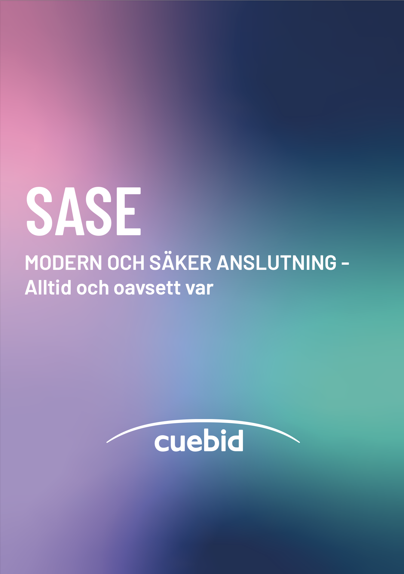 Guide - testa din IT-säkerhet