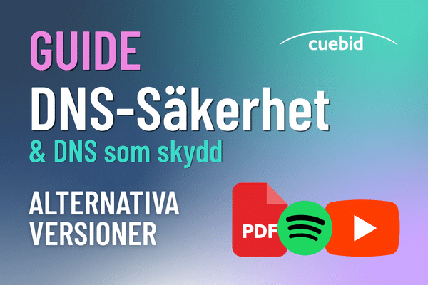 Guide - DNS Alternativ