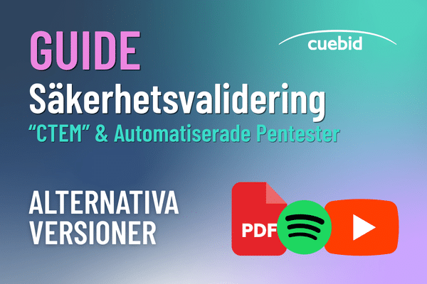 Guide - Säkerhetsvalidering Alternativ