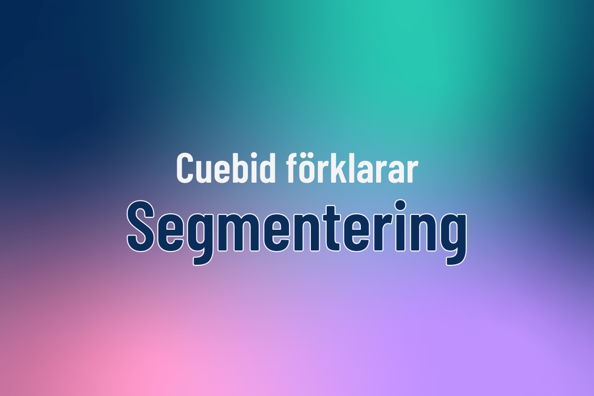 E15 Segmentering
