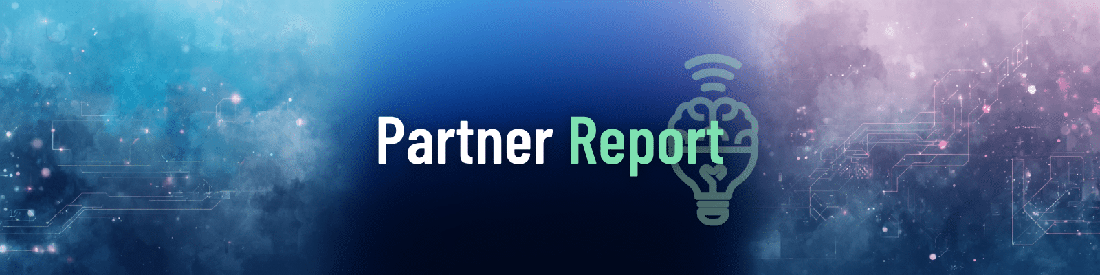 Partner Report