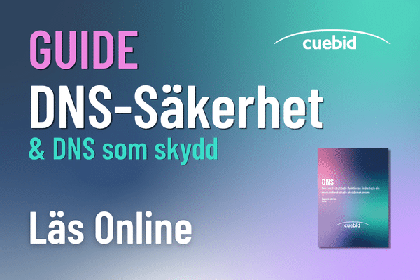 Guide - DNS