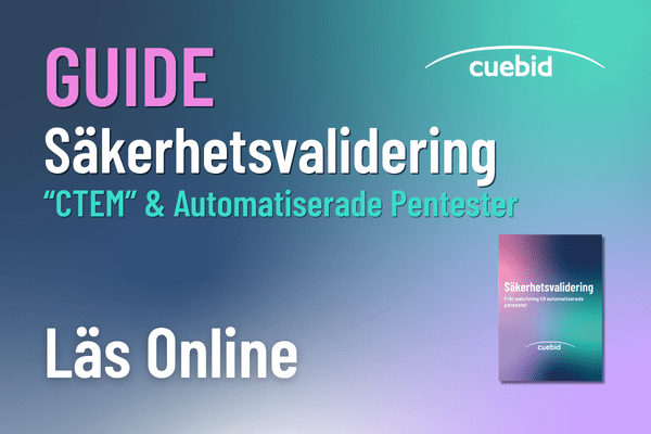 Guide - Säkerhetsvalidering